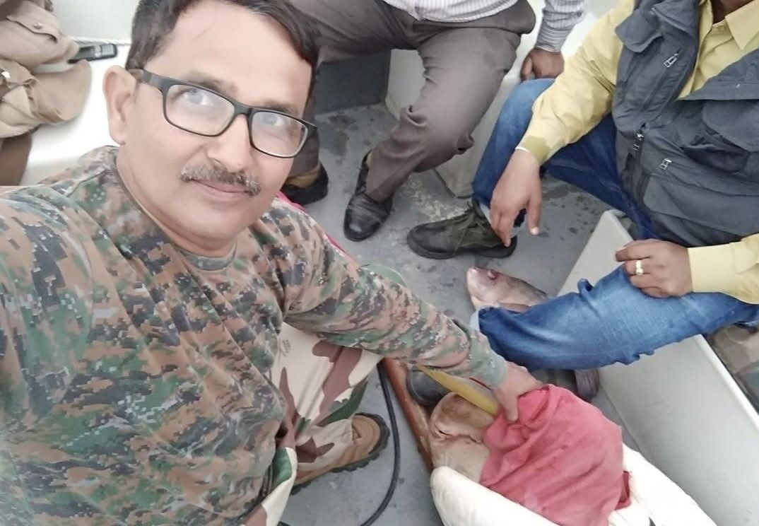 सूर सरोवर पक्षी विहार में एक हवासील बचाव की घटना दिल के सबसे करीब 